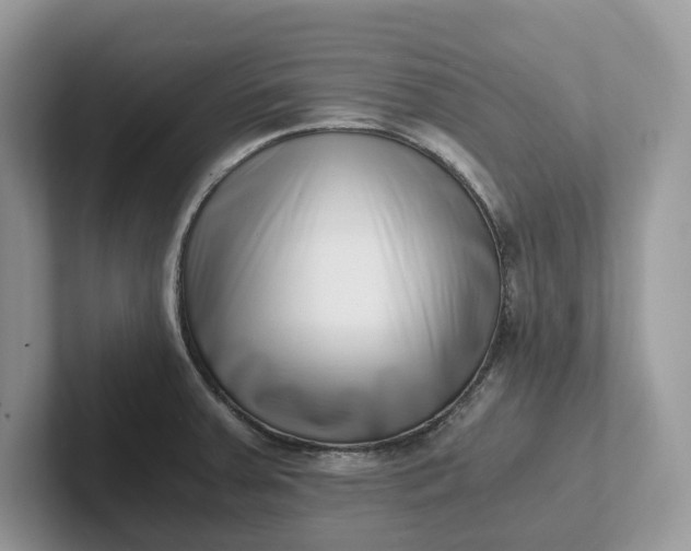 X0000101431379200807211141