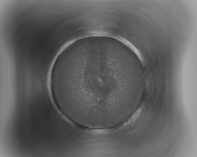 X0000101431381200807211141