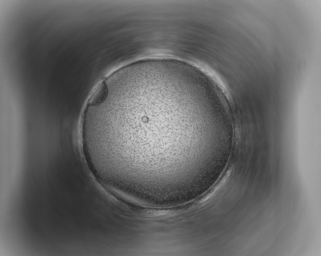 X0000101431382200807211141