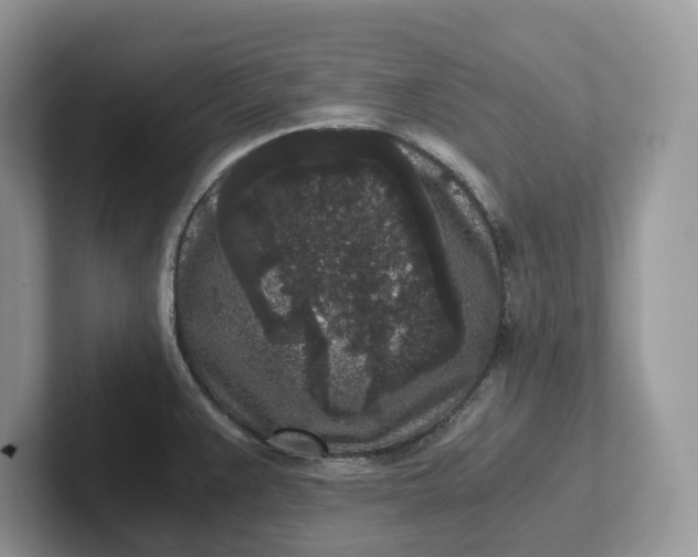 X0000101431383200807211141