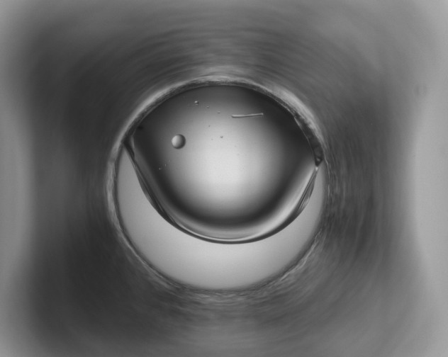 X0000101431384200807211141