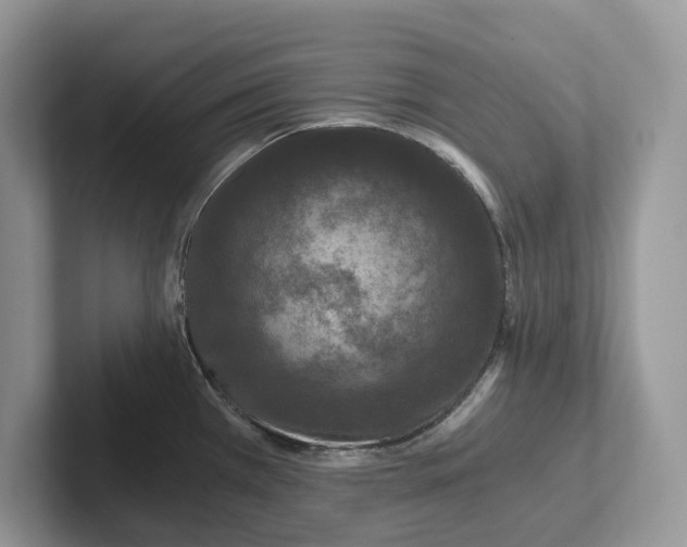 X0000101431385200807211141