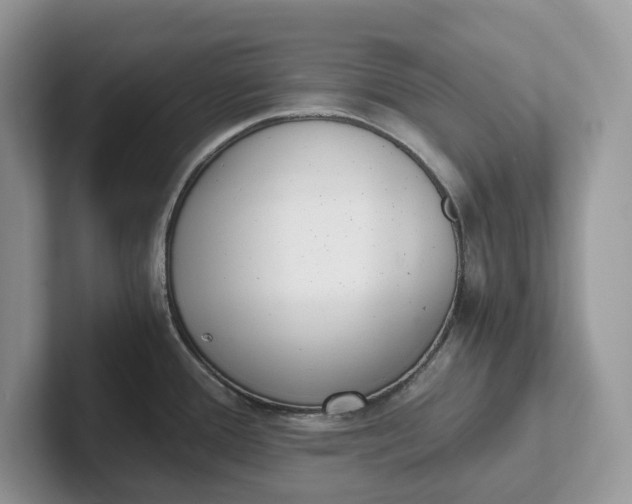 X0000101431388200807211141