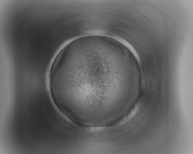 X0000101431389200807211141