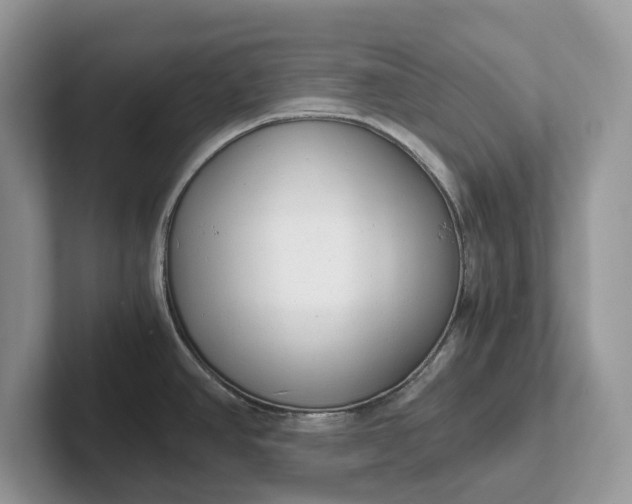 X0000101431390200807211141