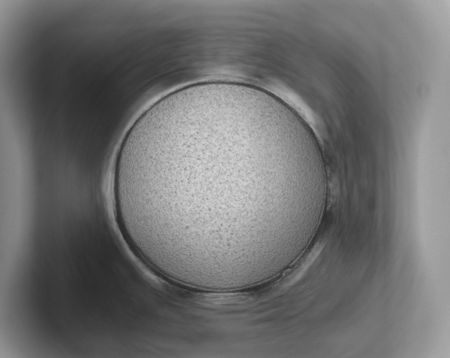 X0000101431391200807211141