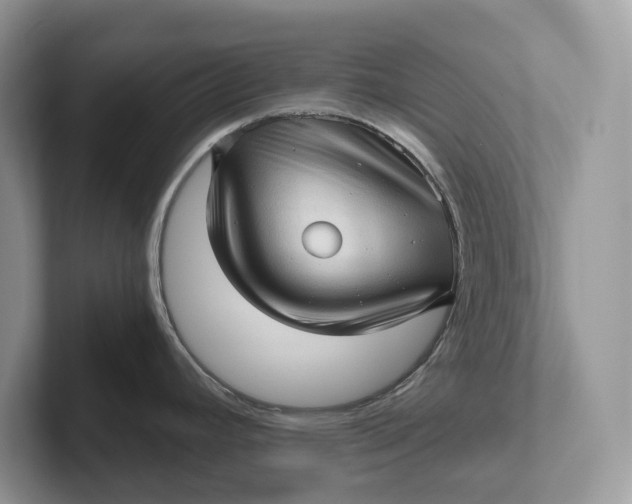 X0000101431392200807211141