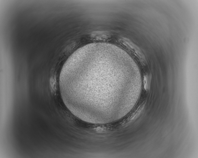 X0000101431395200807211140