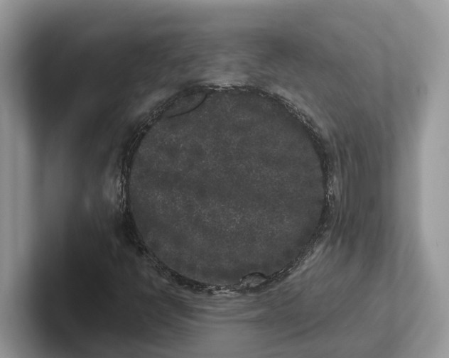 X0000101431398200807211140