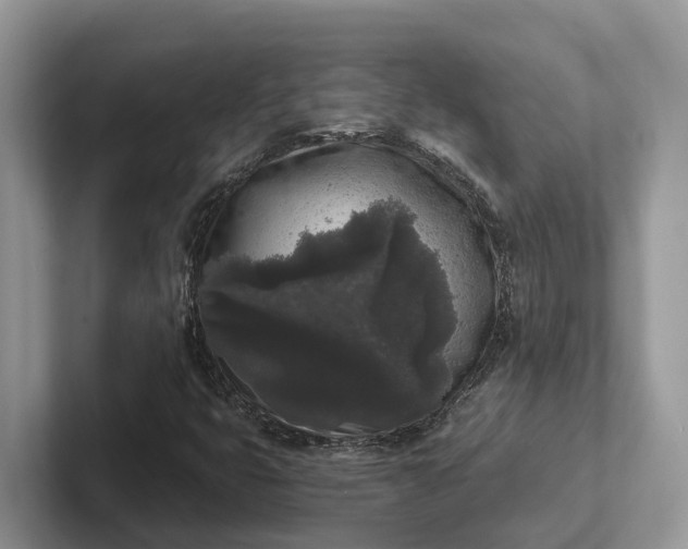 X0000101431399200807211140