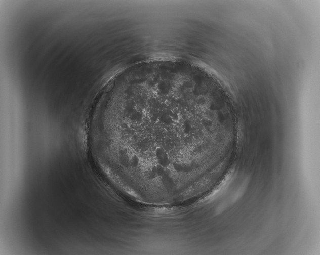 X0000101431401200807211140