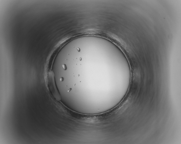 X0000101431410200807211140