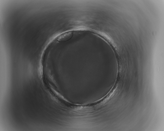 X0000101431414200807211140