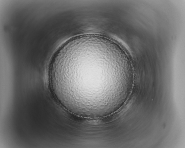 X0000101431415200807211140