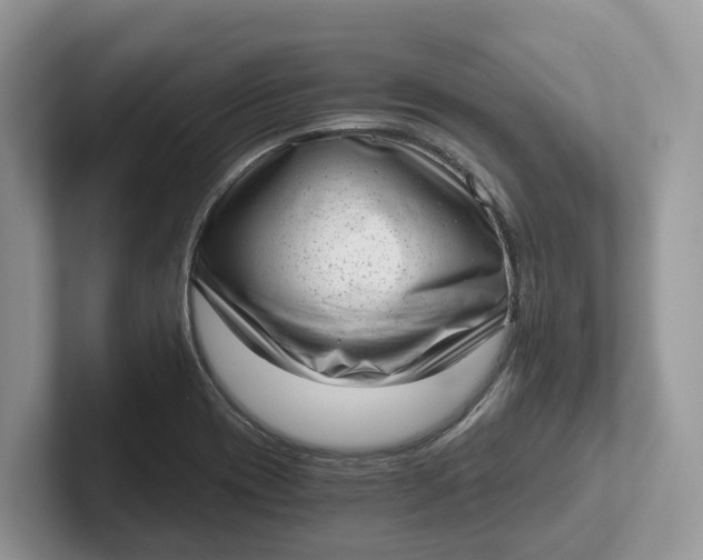 X0000101431417200807211140