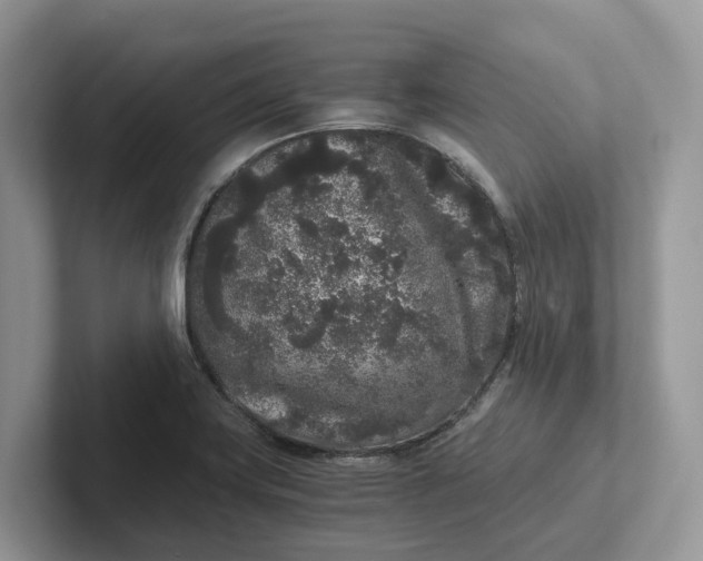 X0000101431419200807211140