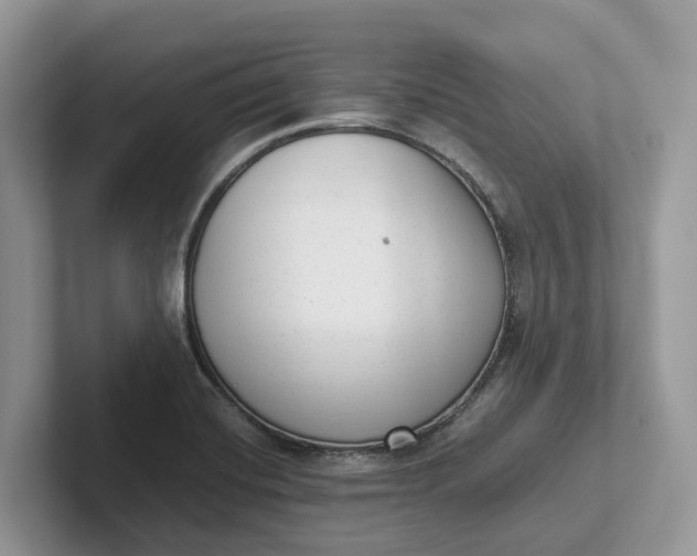 X0000101431420200807211140