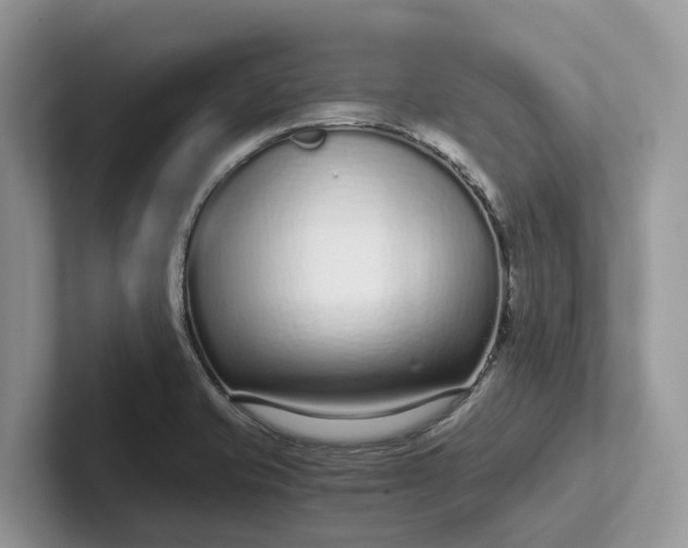 X0000101431421200807211140