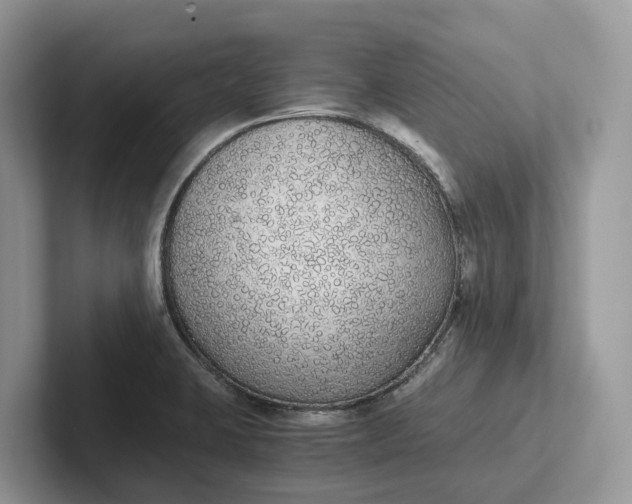 X0000101431423200807211140