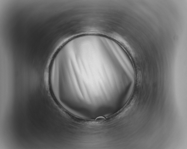 X0000101431424200807211140