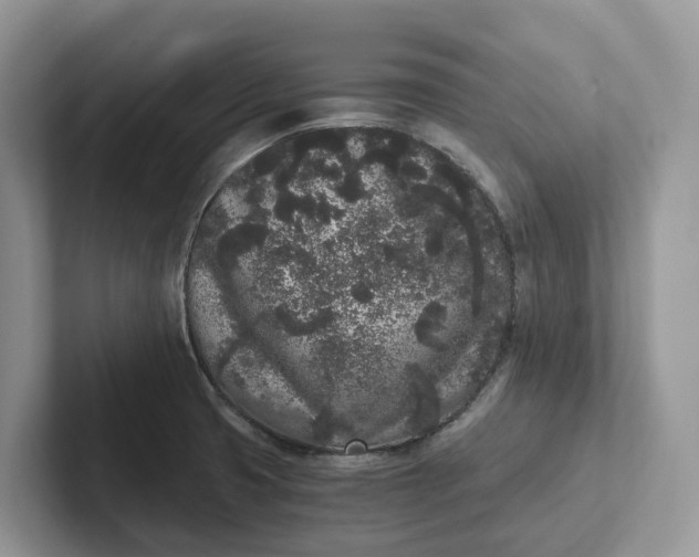 X0000101431425200807211140