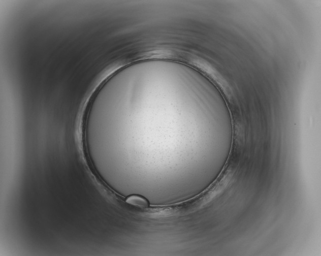 X0000101431426200807211140