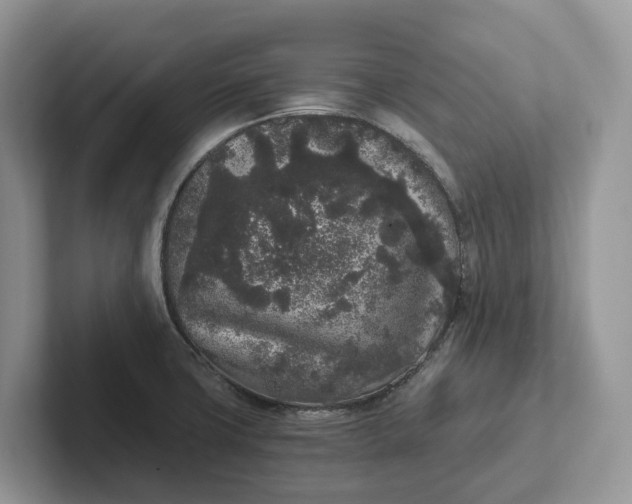 X0000101431427200807211140