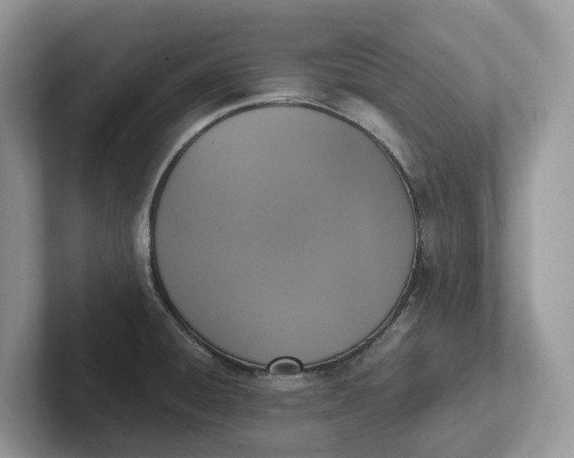 X0000101431428200807211141