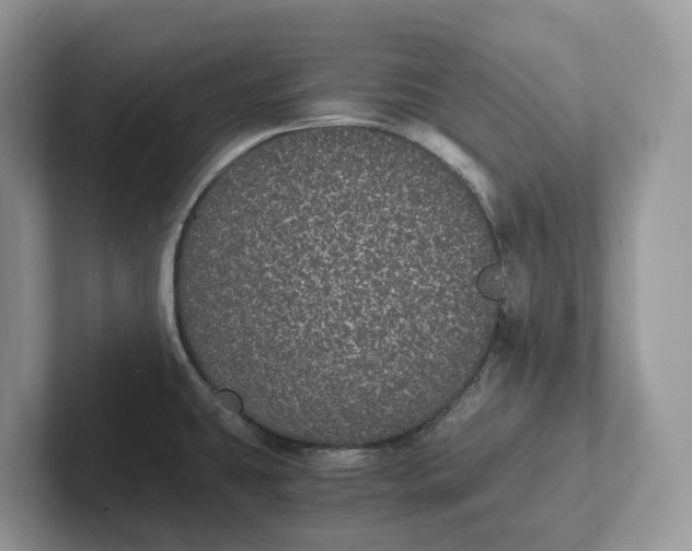 X0000101431431200807211141