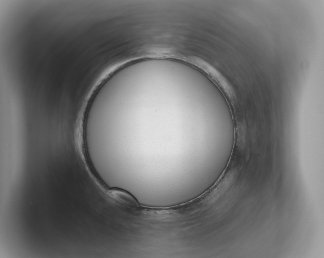 X0000101431432200807211141