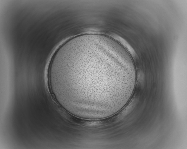 X0000101431435200807211141