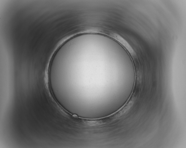 X0000101431436200807211141