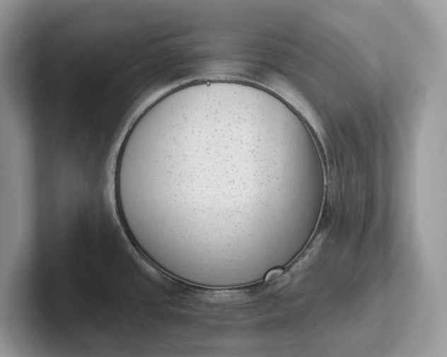 X0000101431437200807211141