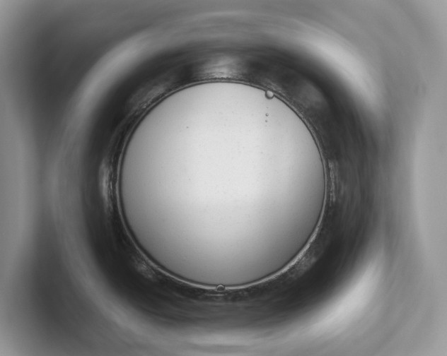 X0000101431438200807211141