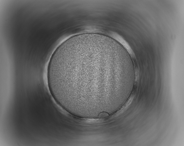 X0000101431439200807211141