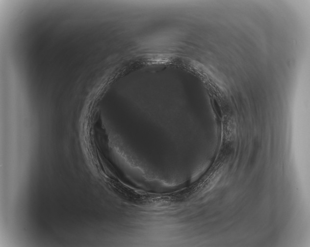 X0000101431441200807211140