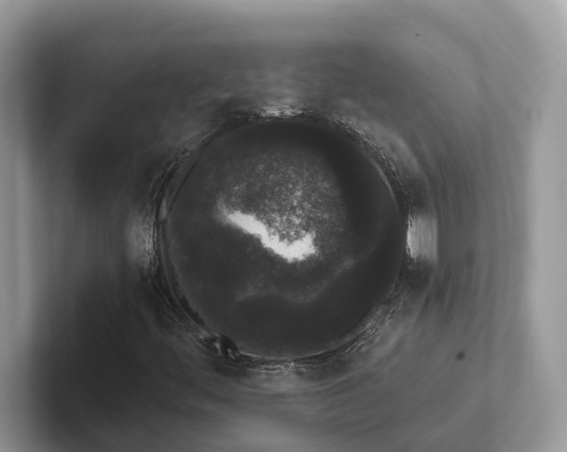 X0000101431444200807211140