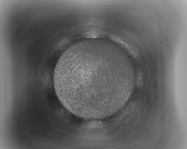 X0000101431446200807211140