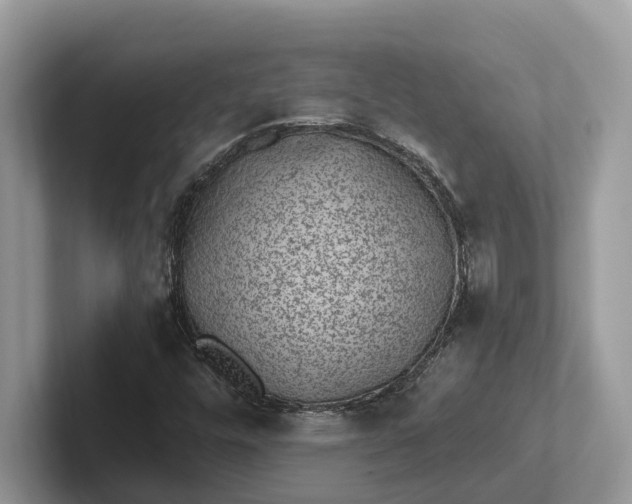 X0000101431448200807211140