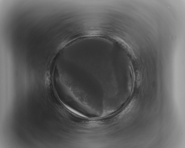 X0000101431449200807211140