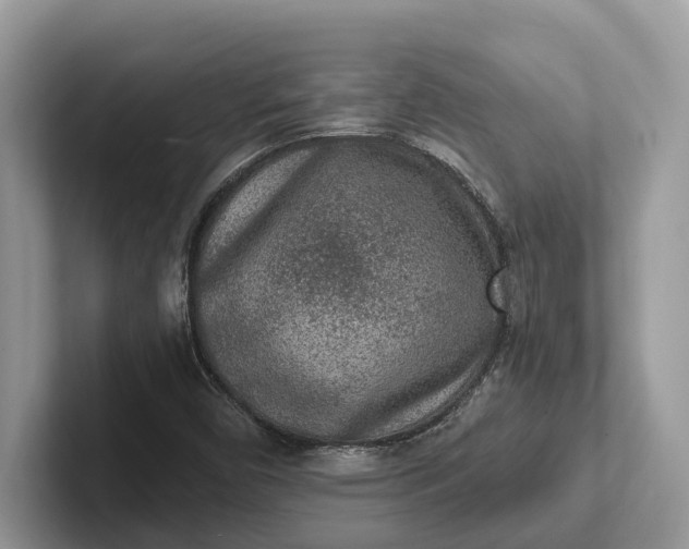 X0000101431450200807211140