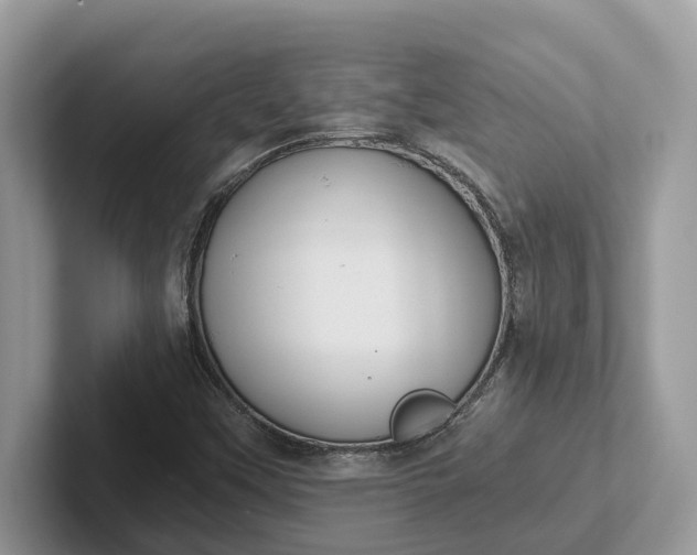 X0000101431451200807211140