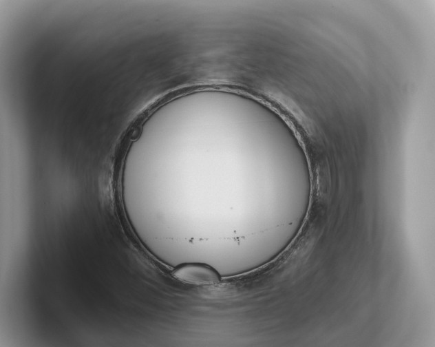 X0000101431452200807211140