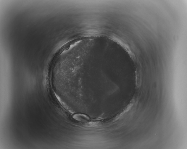 X0000101431453200807211140