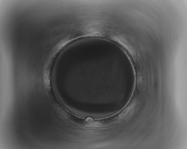 X0000101431455200807211140