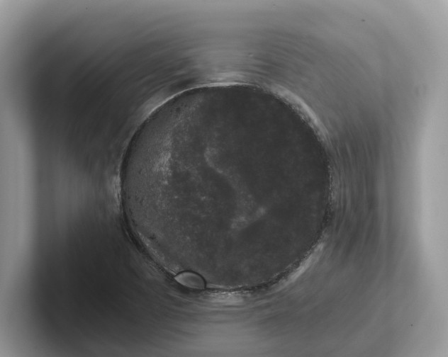 X0000101431457200807211140