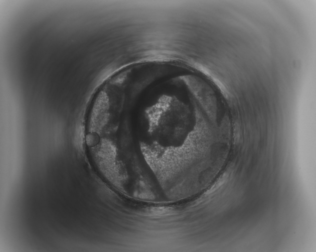 X0000101431459200807211140