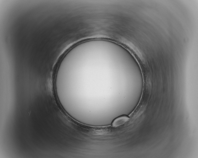 X0000101431460200807211140