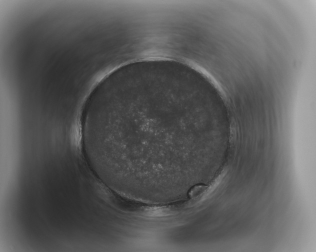 X0000101431461200807211140