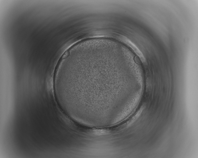 X0000101431465200807211140